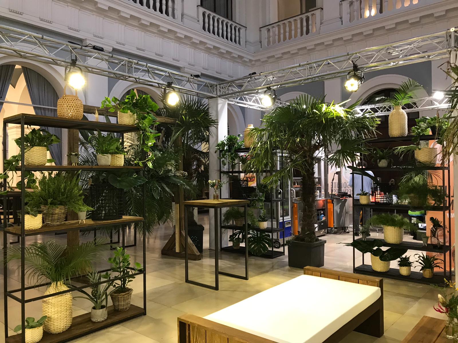 Trachycarpus – Palme S im graphitgrauen Dekogefäß im begrünten Eventaufbau
