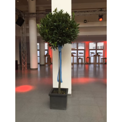 Lorbeer mit Festbändern – Oktoberfest mieten bei Unique Event Rental Hamburg