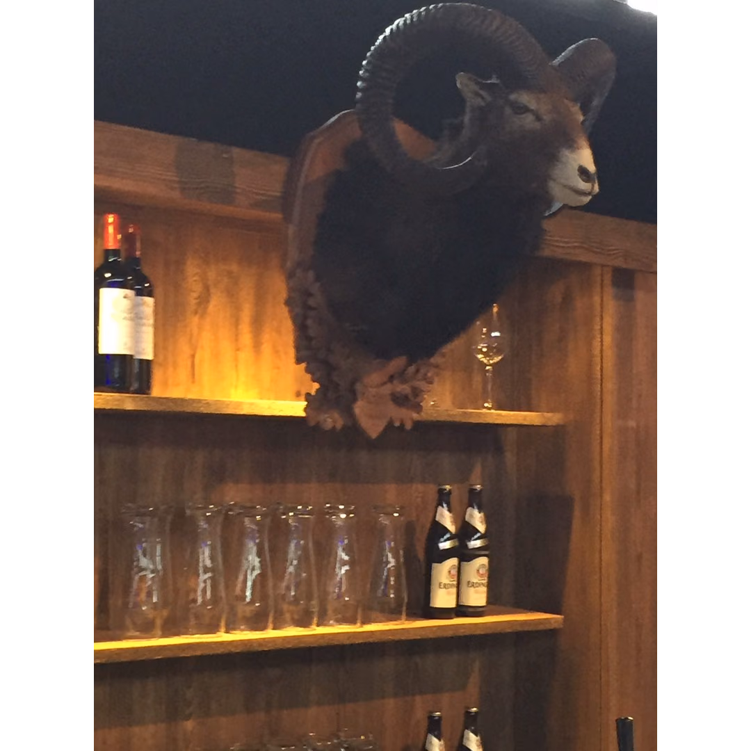 Mufflon – Accessoires mieten bei Unique Event Rental Hamburg