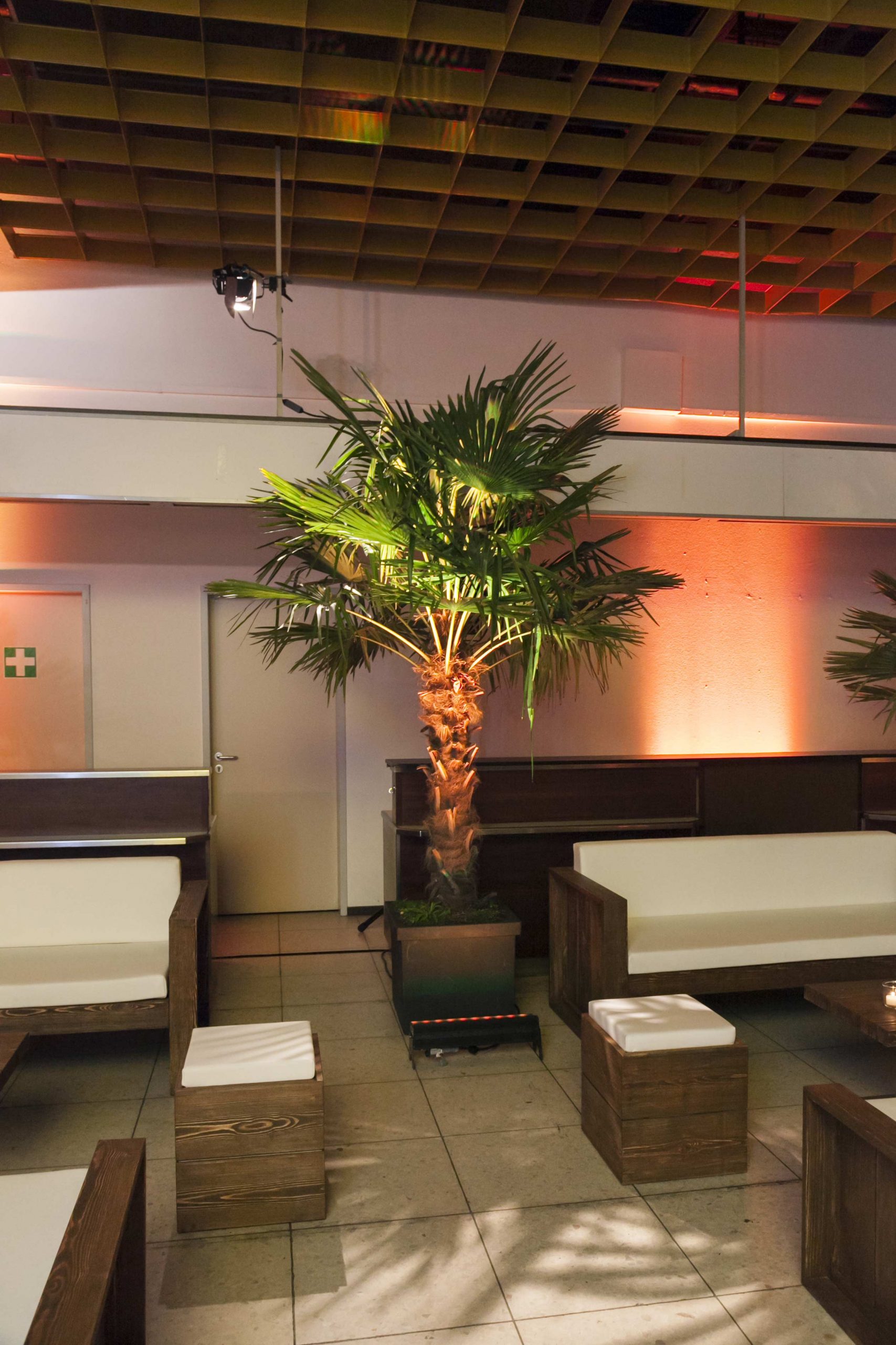 Sommer / Palmen in einer beleuchteten Lounge