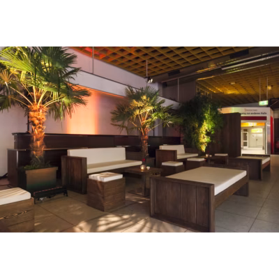 Sommer / Palmen mieten bei Unique Event Rental Hamburg
