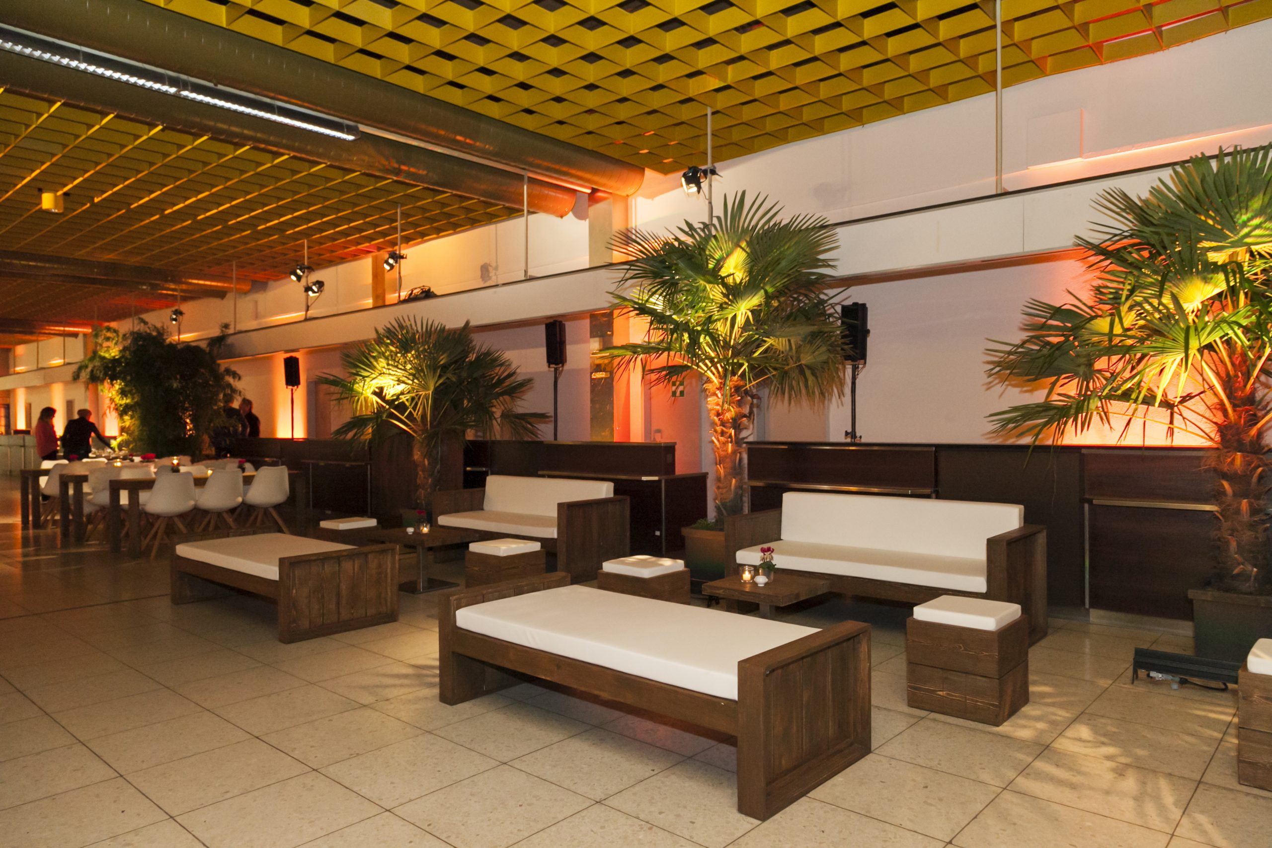 Trachycarpus – Palme M in eleganter Eventlounge mit warmer Beleuchtung